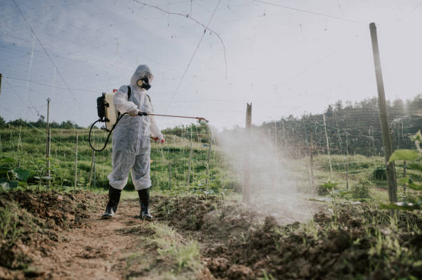 Best Commercial Pest Control Services  in Clay, KY