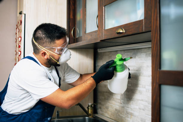 Best Best Pest Control Companies  in Clay, KY