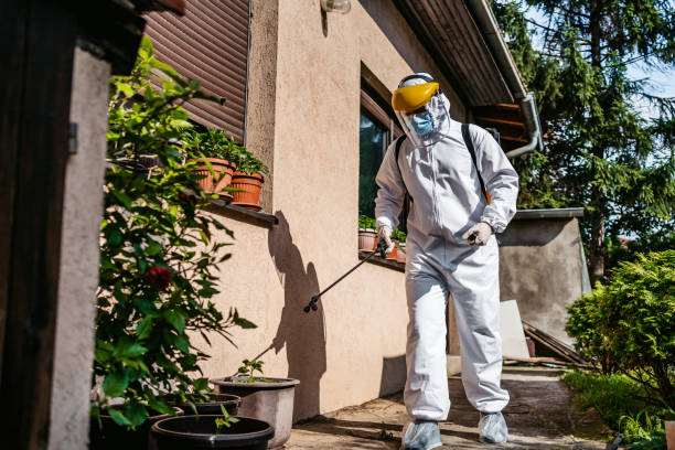 Best Termite Control Services  in Clay, KY