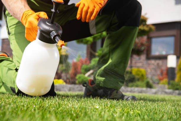 Best Pest Prevention Services  in Clay, KY