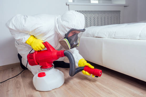 Best Flea Control Services  in Clay, KY