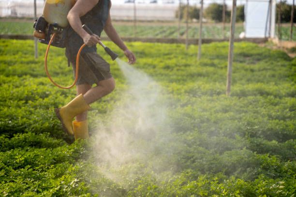 Reliable Clay, KY Pest Control Solutions