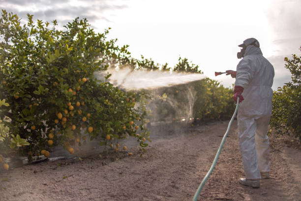 Best Commercial Pest Control Services  in Clay, KY