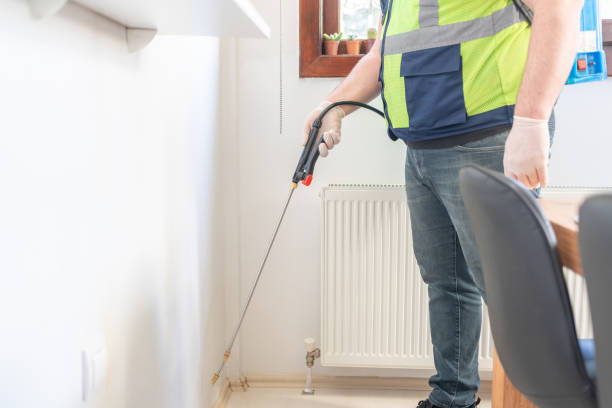 Best Affordable Pest Control Services  in Clay, KY