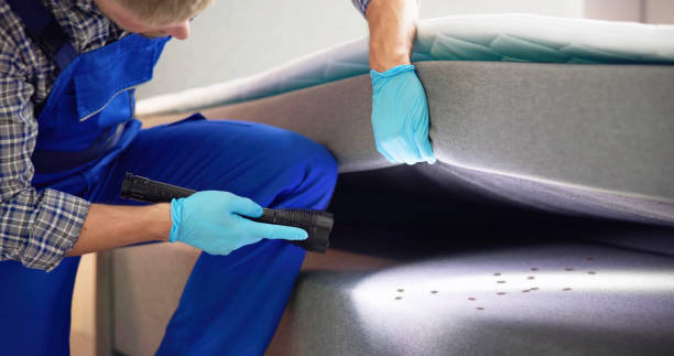 Best Mosquito Control Services  in Clay, KY