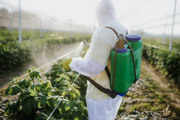 Best Residential Pest Control  in Clay, KY